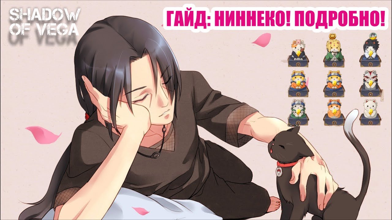 ГАЙД: НИННЕКО, СИБА - КЭН! ЧТО ВЫ МОГЛИ ПРОПУСТИТЬ? ПОДРОБНО! Тени Пика | Конфликт хидзюцу