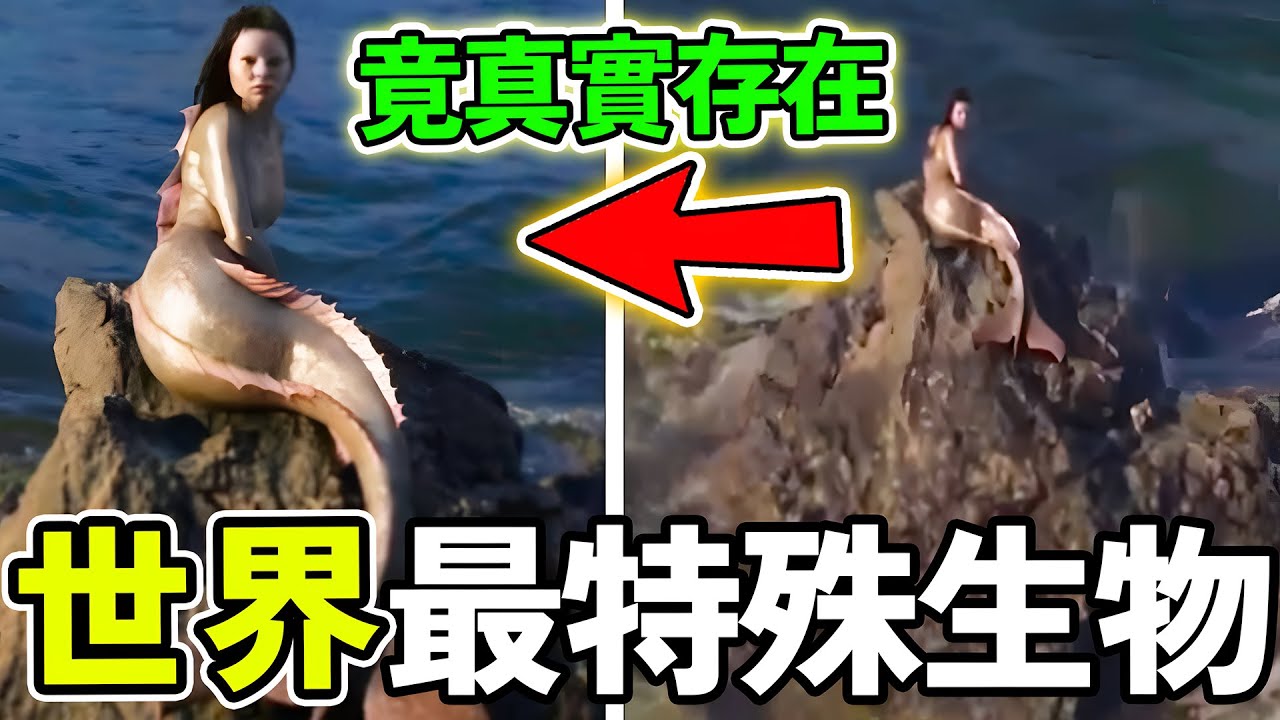 世界上最可怕的遠古生物，體型小巧但以恐龍為食，第一名竟是人類近親，至今仍然存在#世界之最 #奇文 #科普 #世界之大