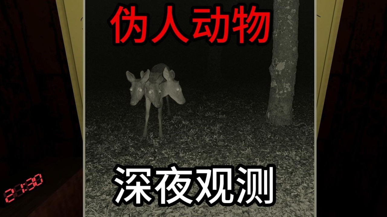 【恐怖游戏】深夜观测动物园里的诡异生物，请一定小心不要被发现！#恐怖游戏 #恐怖 #游戏解说#