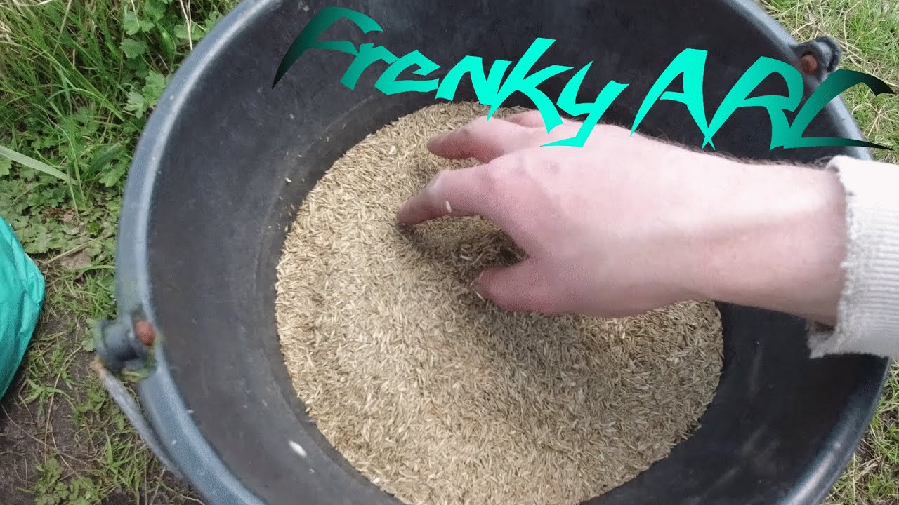 Pferdeweide mit einer Fruktan reduzierte Mischung nachs&auml;hen (Hufrehe reduziert)