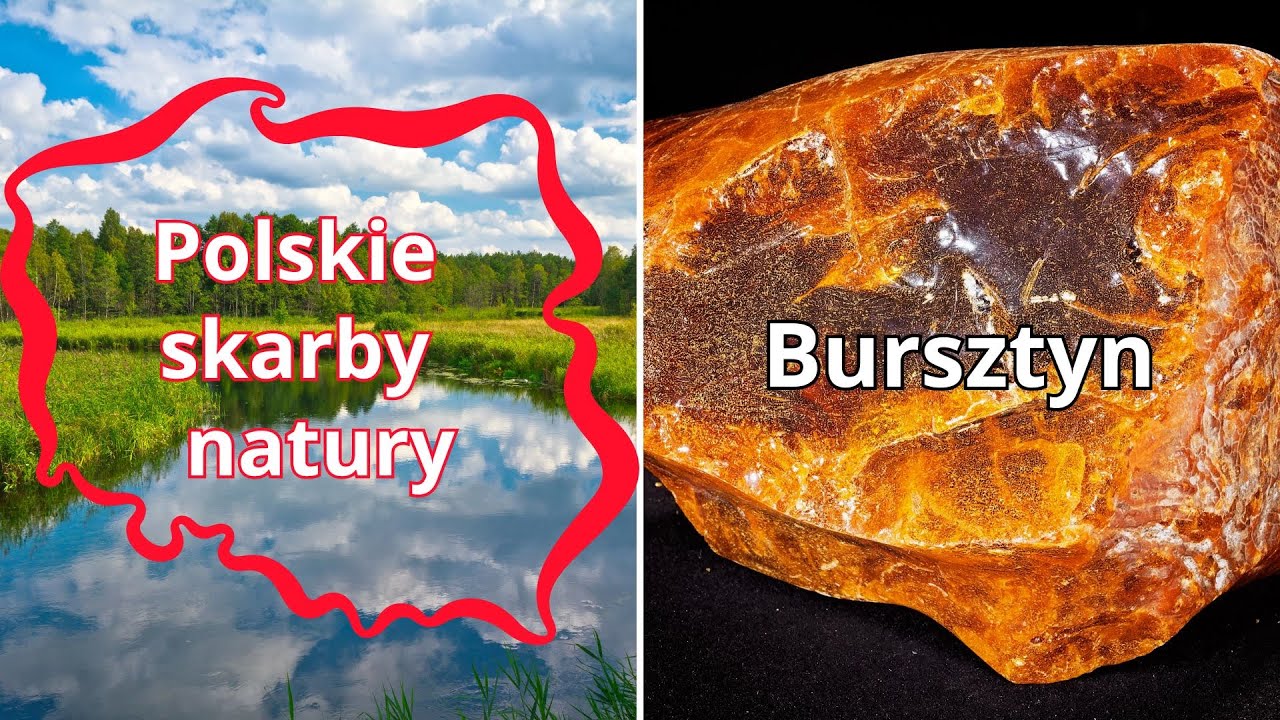 Tajemnice bałtyckiego bursztynu