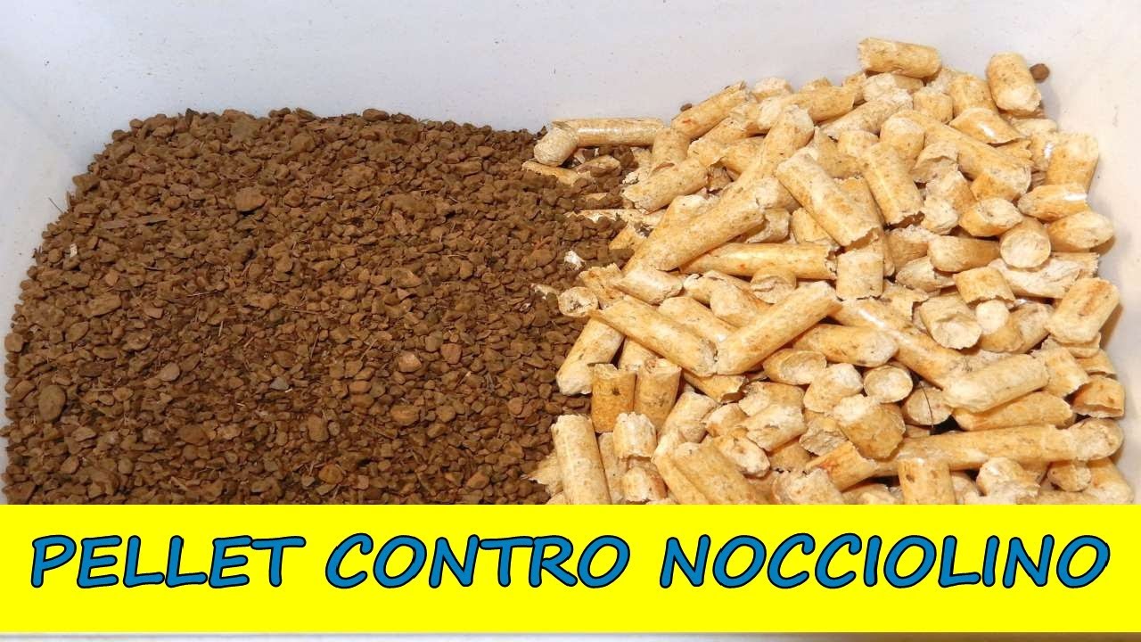 Pellet contro Nocciolino: analisi dei residui di combustione