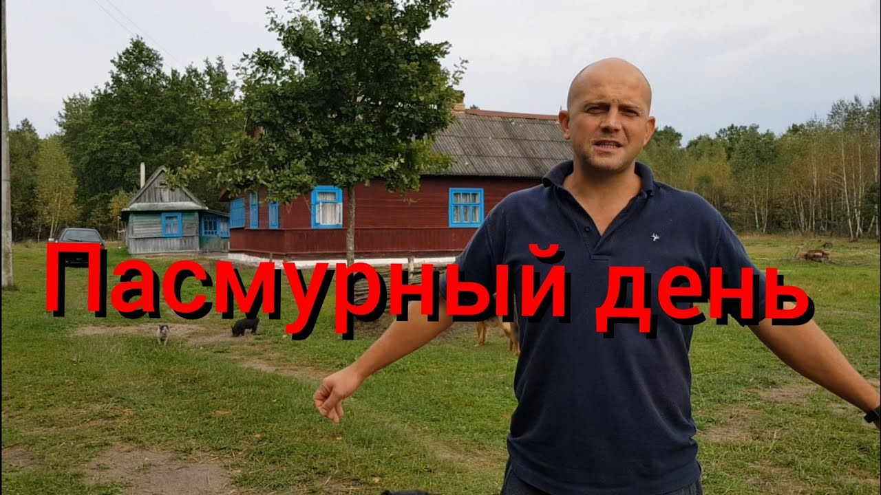 Чем займёмся в дождливый день ? Конечно ремонтом в доме . Мы сели на диету и придумали новое блюдо .
