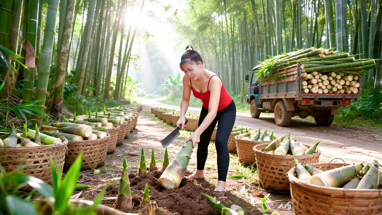 Harvesting 2000 Fresh Wild Bamboo Shoots to Sell at the Market | Growing a Vegetable Garden