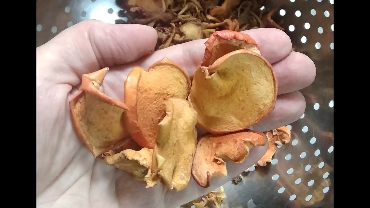 Как сделать яблочный  уксус из сушёных яблок?