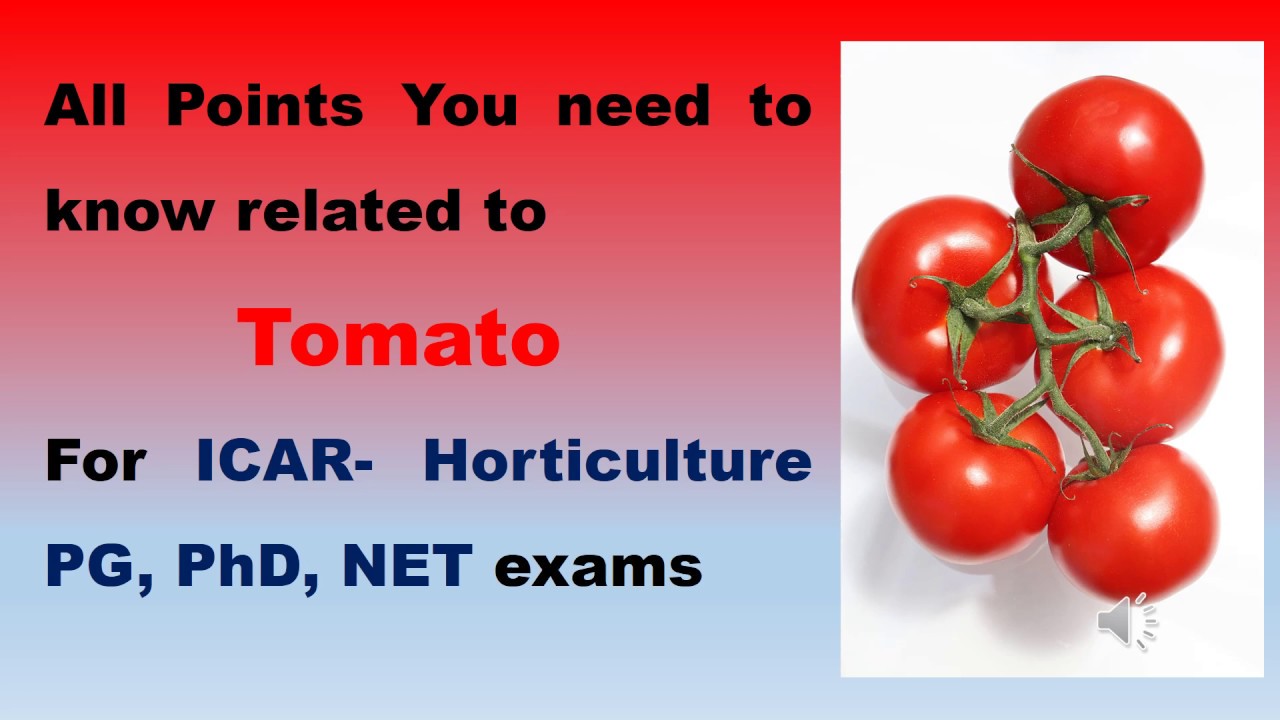 Tomato ICAR Horticulture PG|PhD|NET Exams