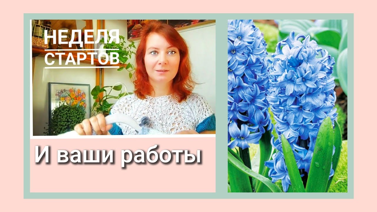  Много процессов, ваши работы. Рецепт, стихи, растения.