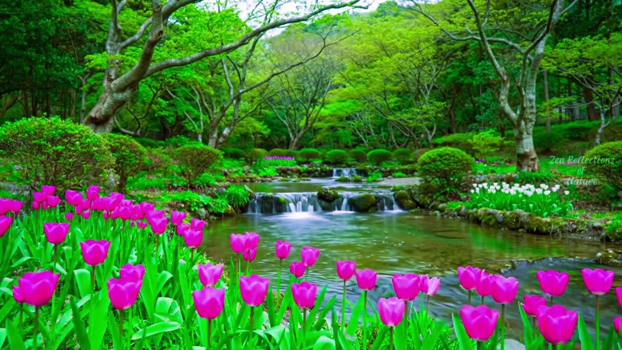 Нежное фортепиано с водопадом для сна и учебы