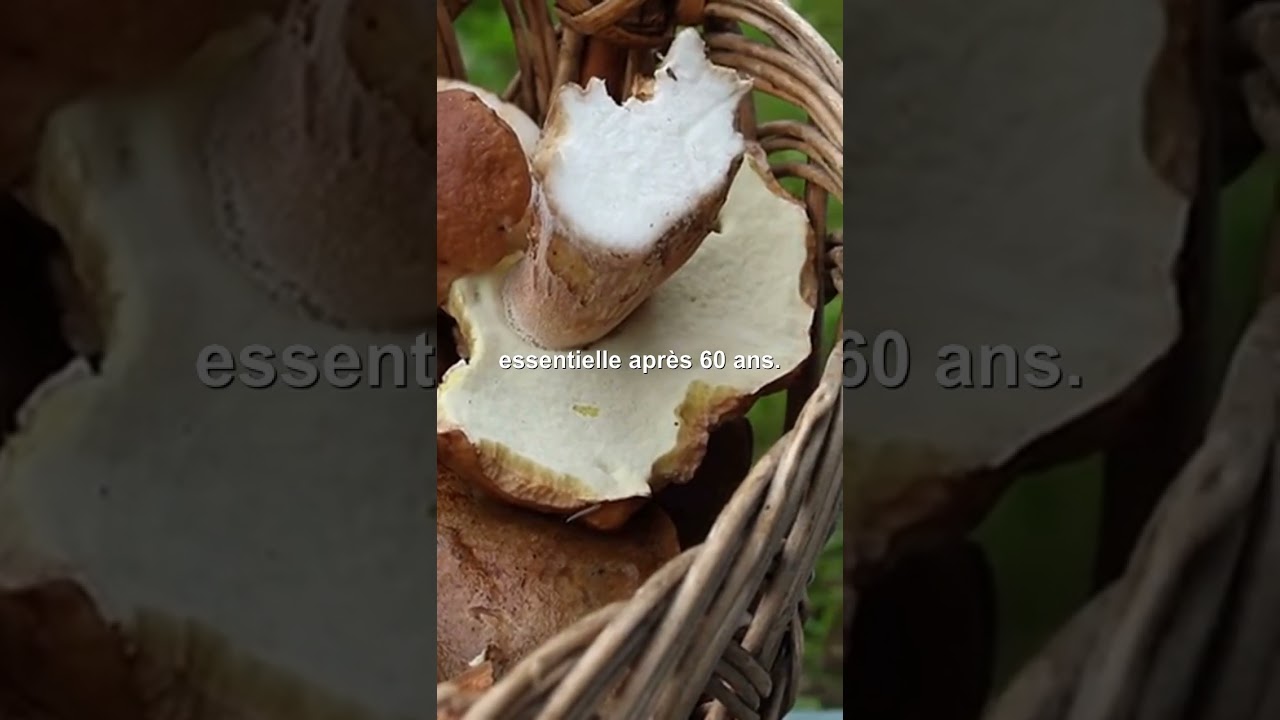 CHAMPIGNON, SECRETS NUTRITIONNELS POUR UNE VIE ACTIVE APR&Egrave;S 60 ANS #Champignons