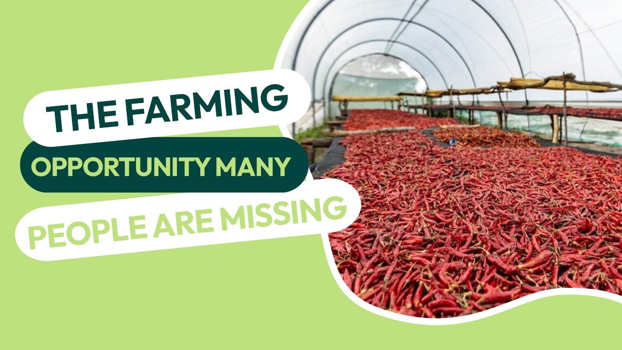 THE FARMING OPPORTUNITY MANY PEOPLE ARE MISSING