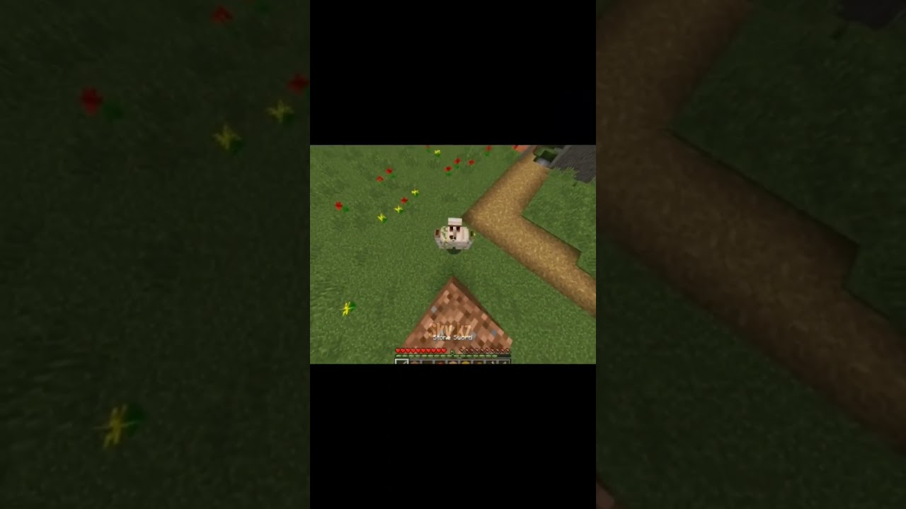 #thesky #minecraft #skymemes #memes #skydoesminecraft #minecraft