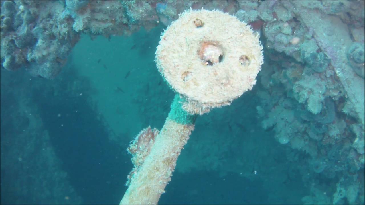 Varese wreckdive Croatia Pula Diving Indie