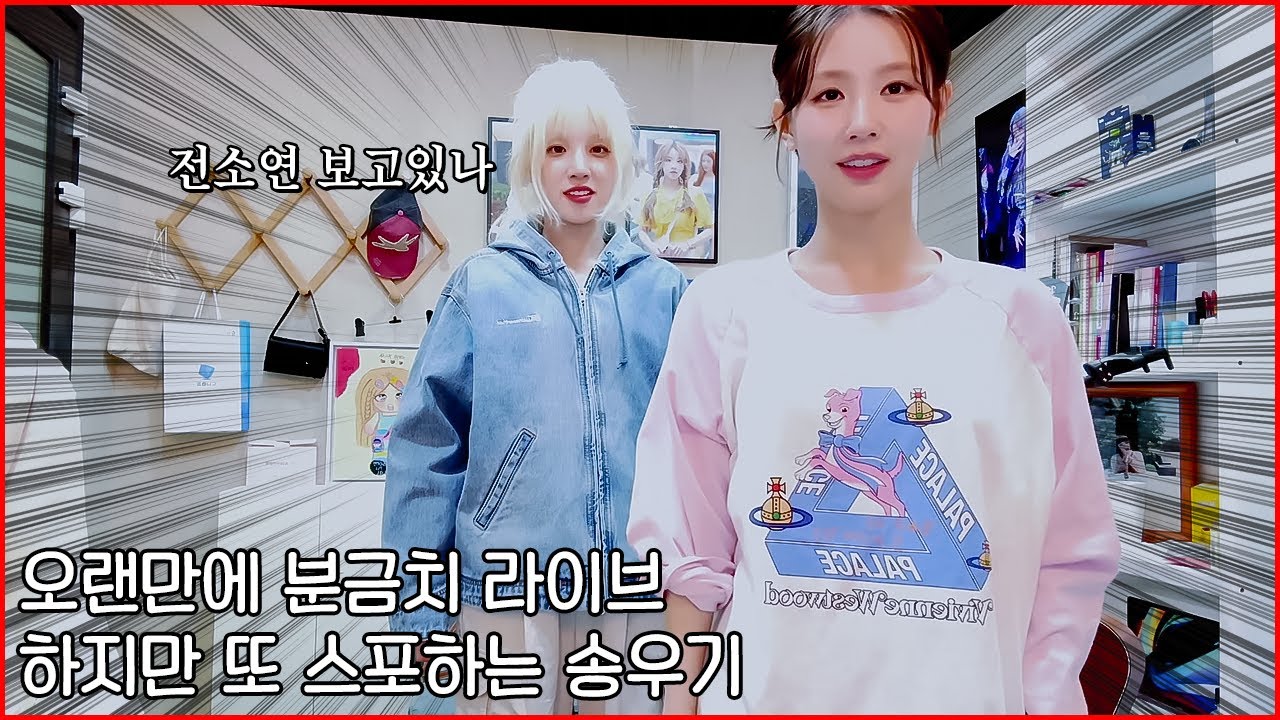 🩷오랜만에 분금치💚스포로 시작해서 스포로 끝낸 우기🐶[250424 위버스 라이브 요약본]