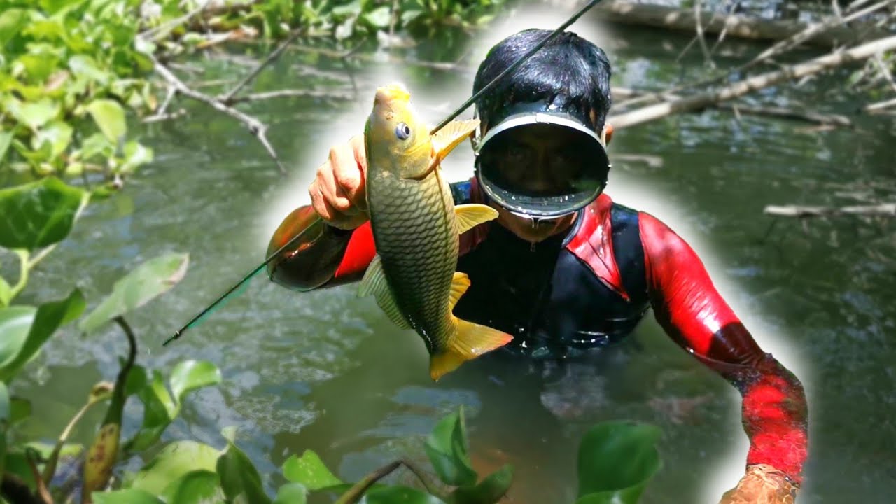 EP10 - KAILANGAN KUMAYOD #spearfishing #spearfishingphilippines #spearfishingcatchandcook #buhayilog