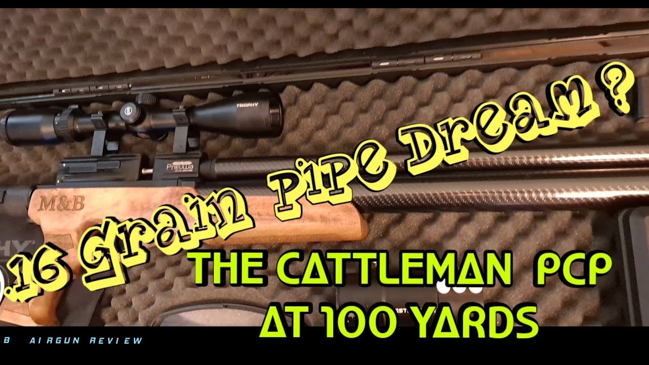 CATTLEMAN  T2 PCP AIR RIFLE  AT 100 YARDS  WITH A  .16 GRAIN PELLET .  CAN IT BE DONE?