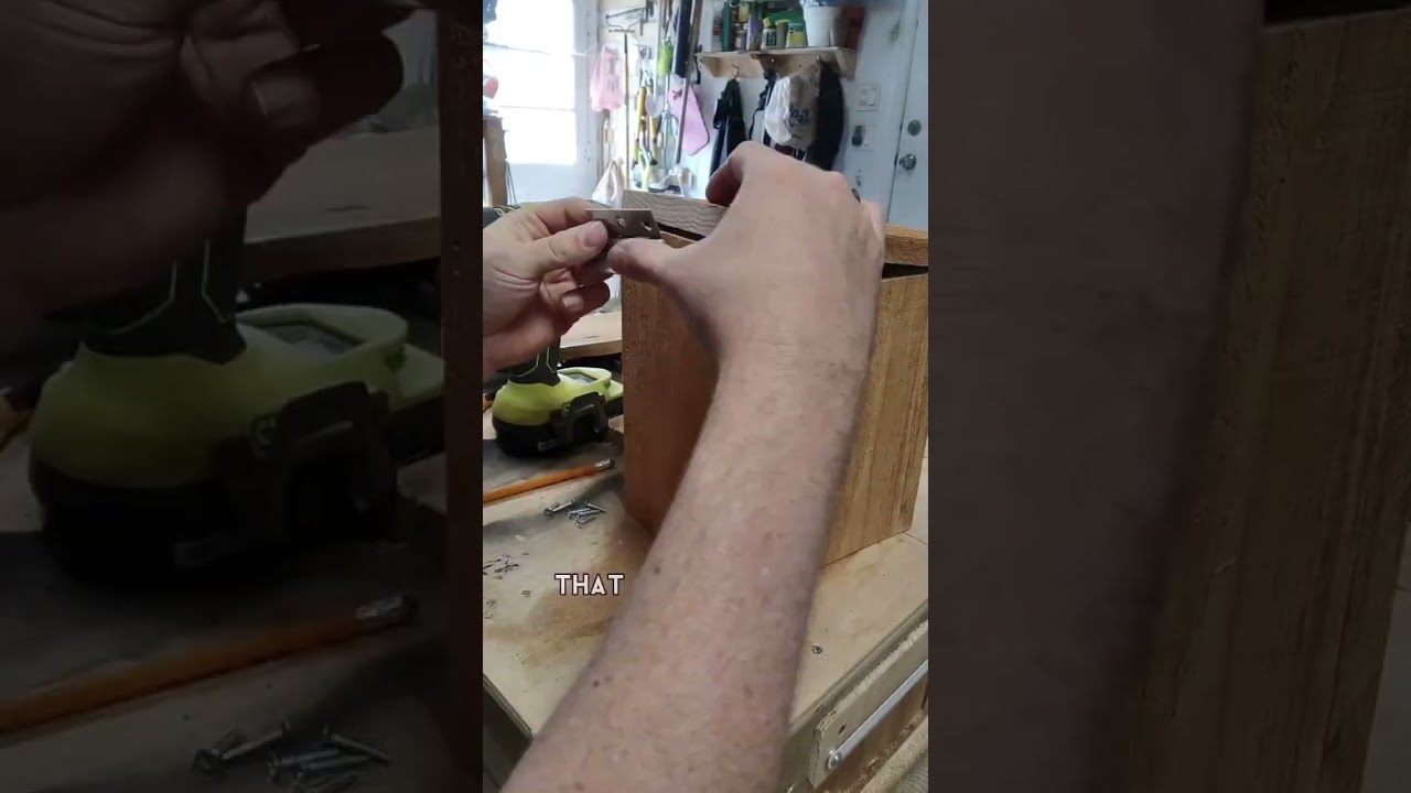 How to make a bird feeder #howto #shorts