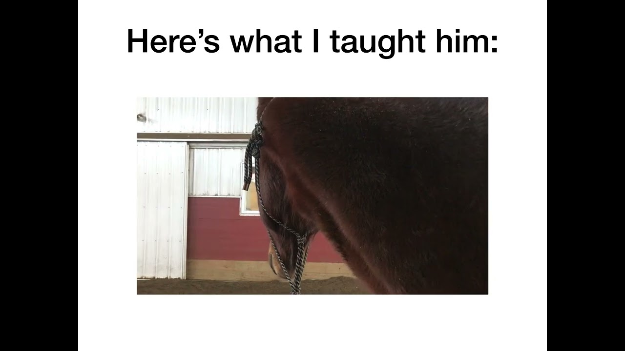 Help! My Horse is Spooky!