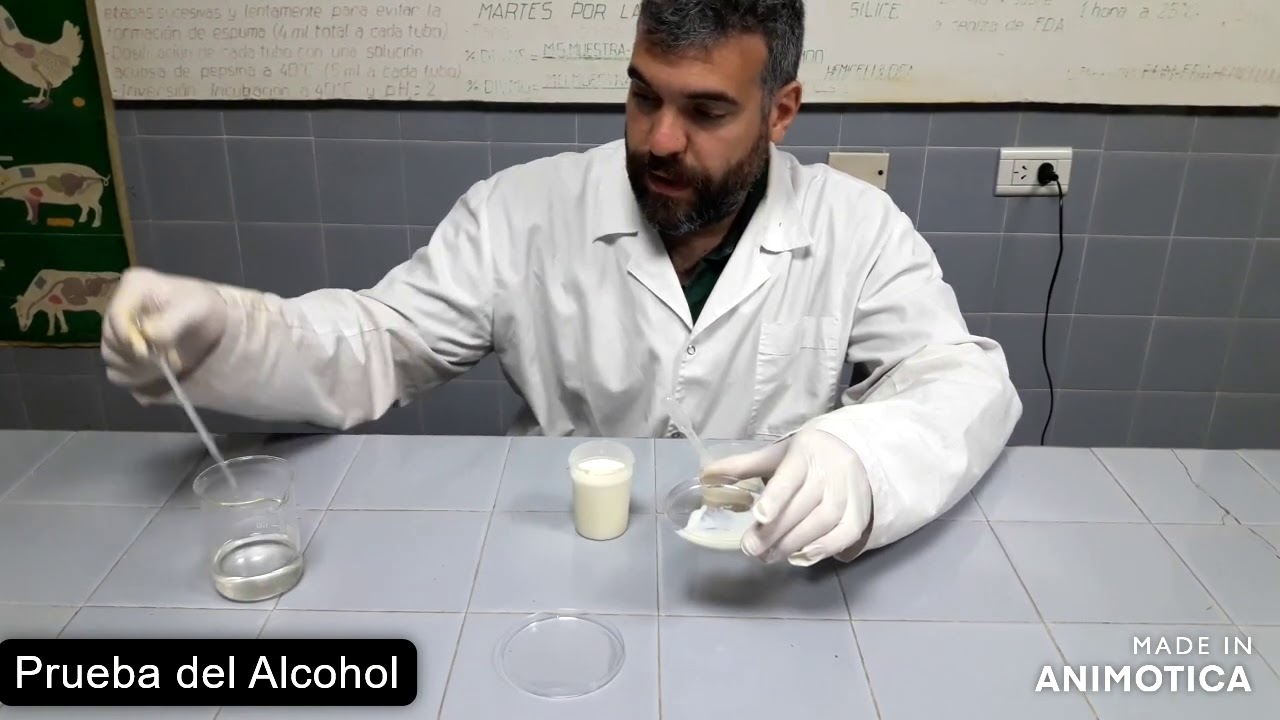 Prueba del alcohol