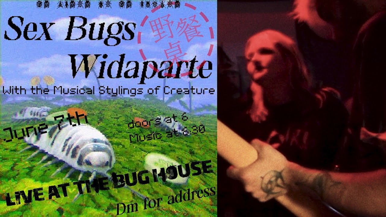 SEX BUGS - Live at Bug House 6/7/25