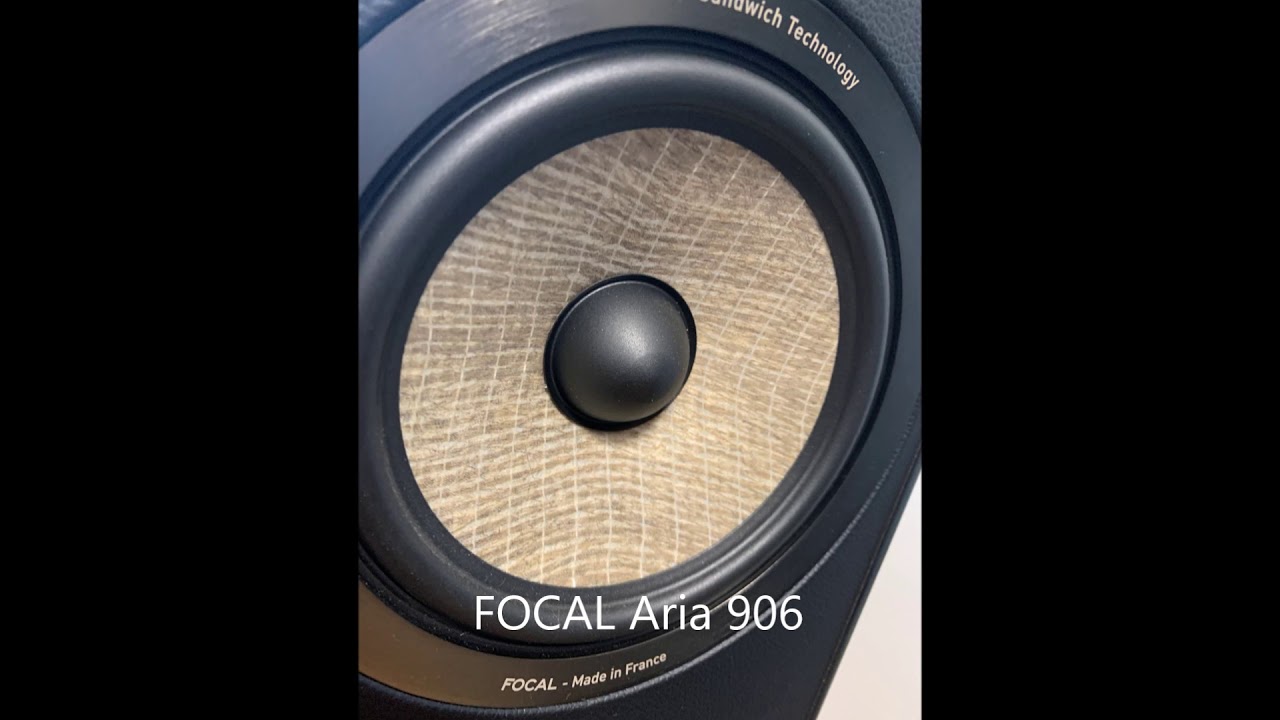 【Speaker Comparison】DALI IKON1 MK2 VS FOCAL Aria 906