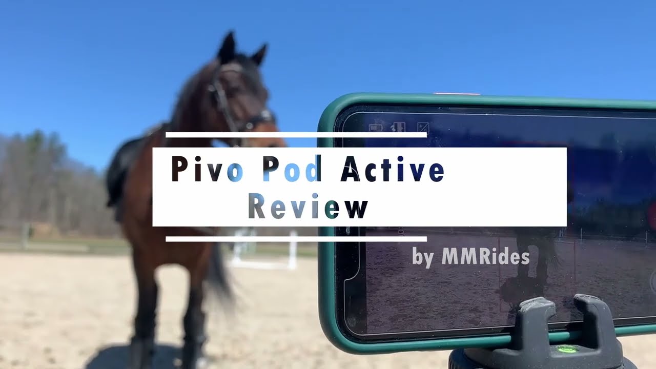 Pivo Pod Active (Horse Mode) - Is it worth it? - Equestrian Review