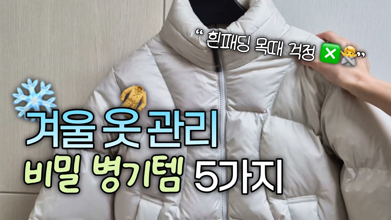 [겨울 옷 관리❄️] 패딩·니트·어그 등 '관리 난이도 하下' 만들어주는 꿀템 5가지