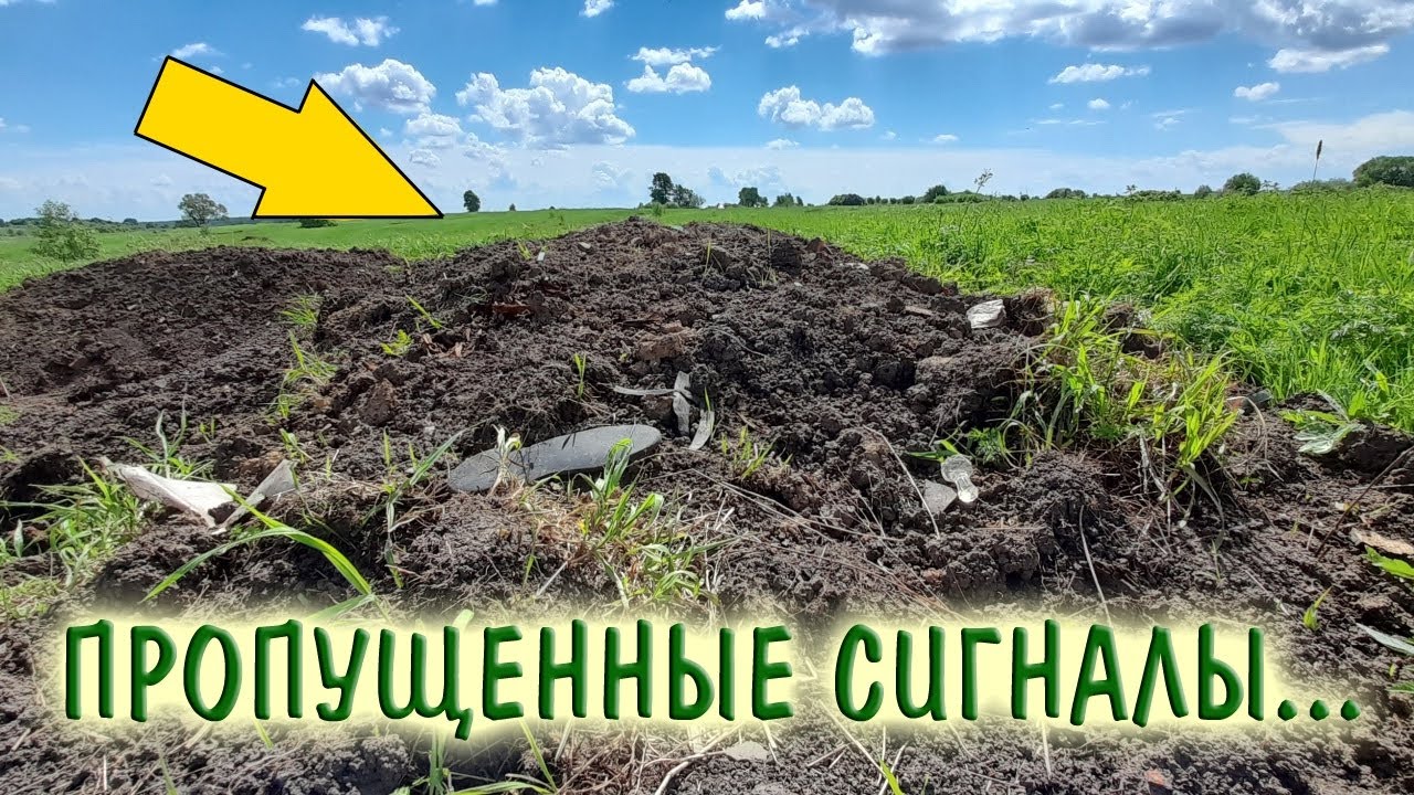 Снова на фундаментах бывших домов... #metaldetecting #поиск #шурф #фундамент