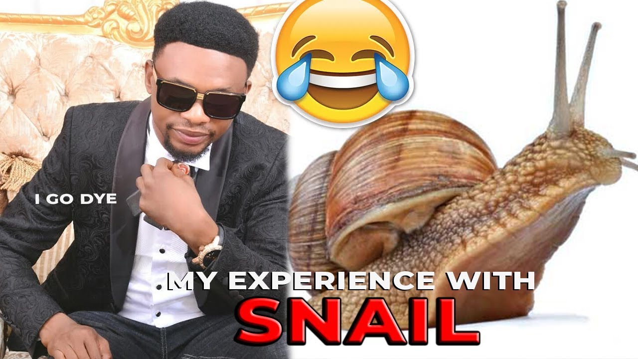 I GO DYE - MY SNAIL EXPERIENCE