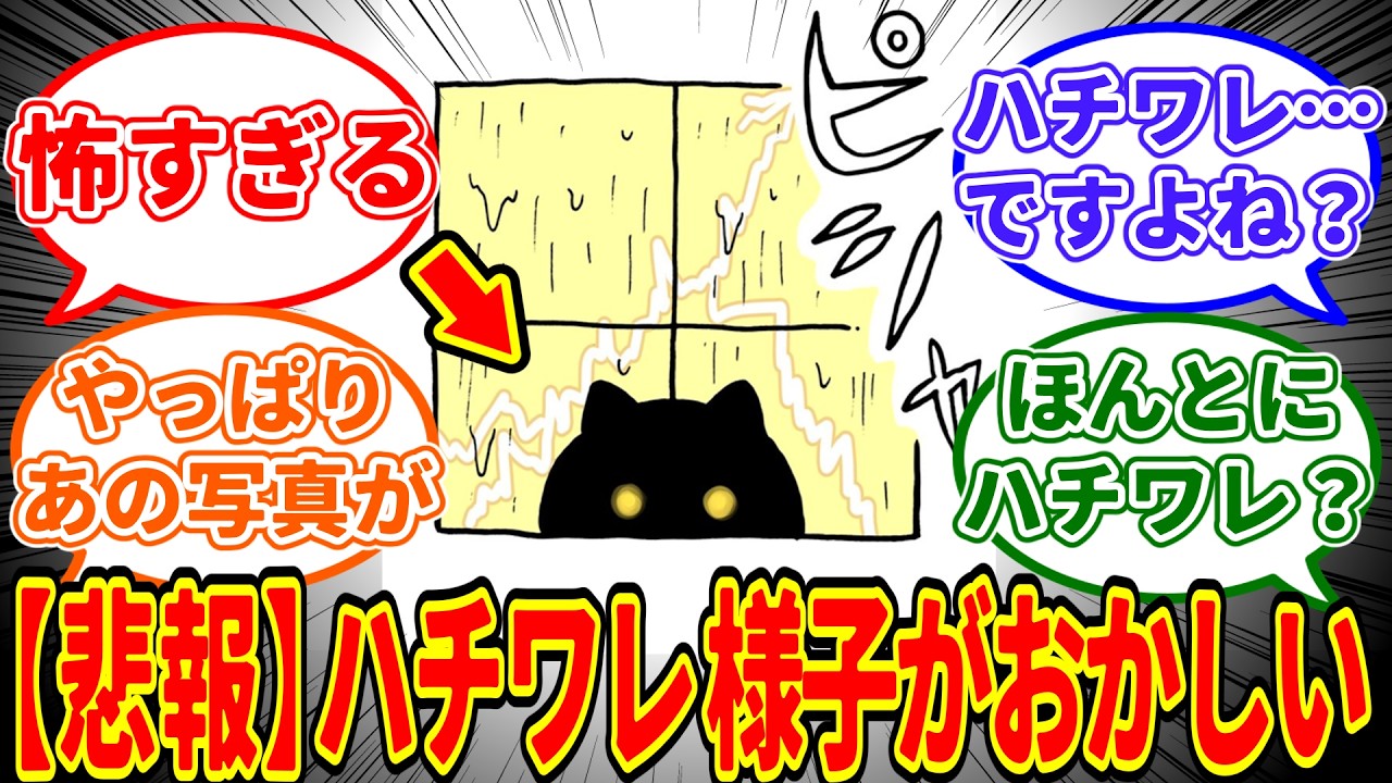 【ちいかわ】ハチワレさん、深夜に親友のおうちを訪問するも、何やら様子がおかしく読者が怯えてしまう…に対する　ちいかわ愛好家たちの反応集【0116最新話】