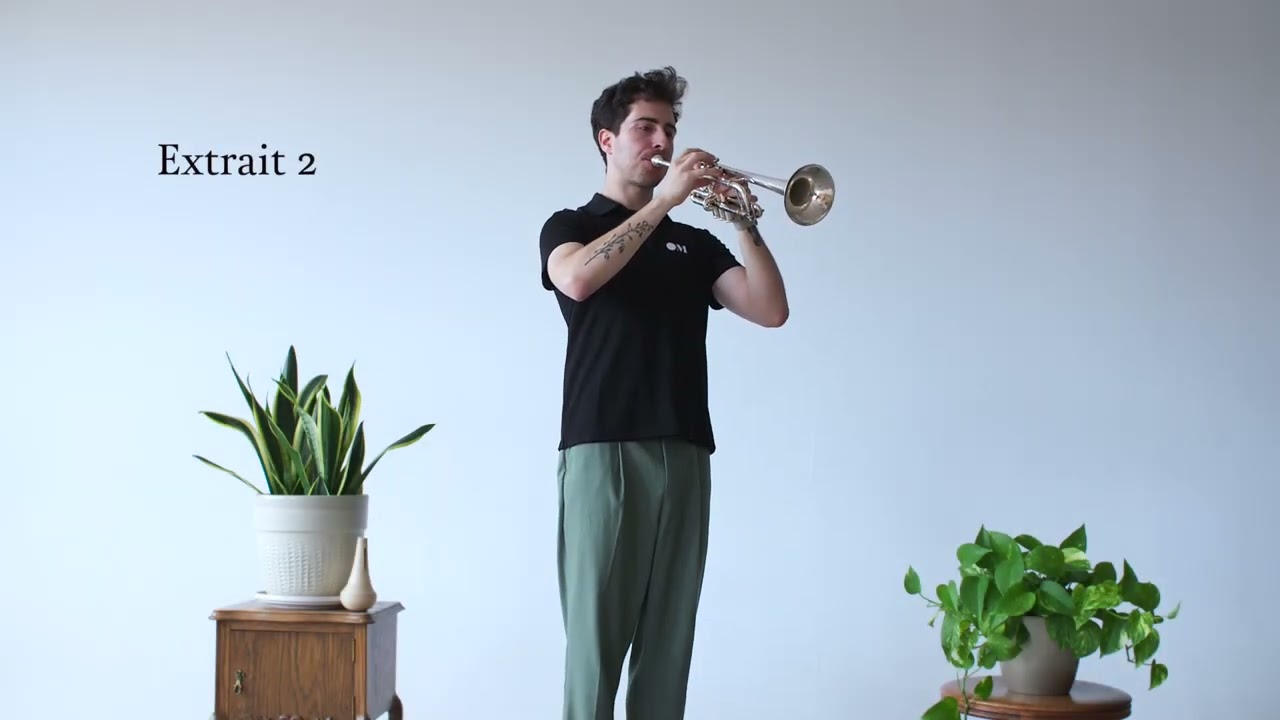 Les articulations : court et long