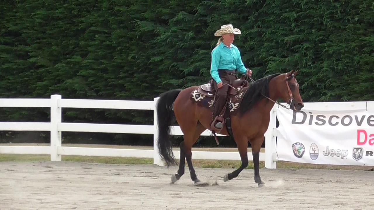 Region 5 Class 587 Arabian Ranch Horse Riding