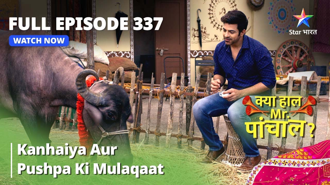 FULL EPISODE -337 | Kanhaiya Aur Pushpa Ki Mulaqaat | Kya Haal, Mr. Paanchal|क्या हाल मिस्टर पांचाल?
