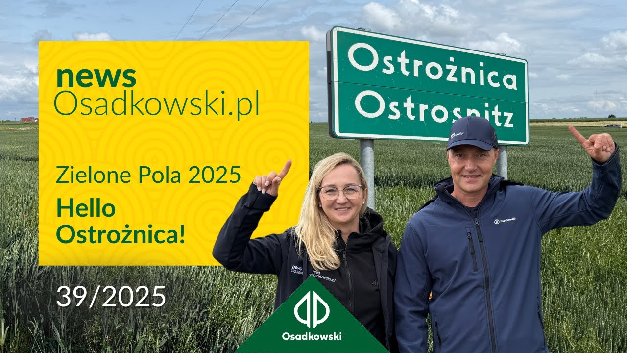 Najnowsza odmiana rzepaku i porównanie najwcześniejszych odmian pszenicy - Zielone Pola 2025