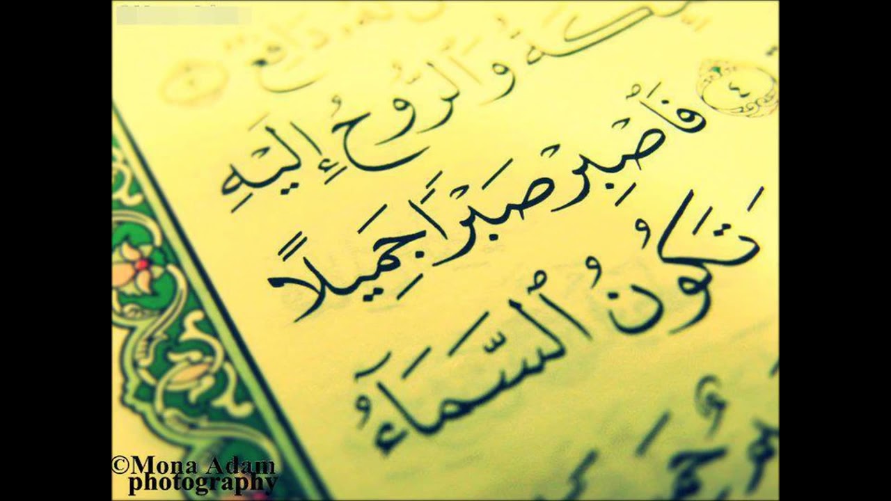 Surah Al-Ankabut | سورة العنكبوت | القارئ عبد الرزاق الدليمي | قراءة تصويرية جميلة
