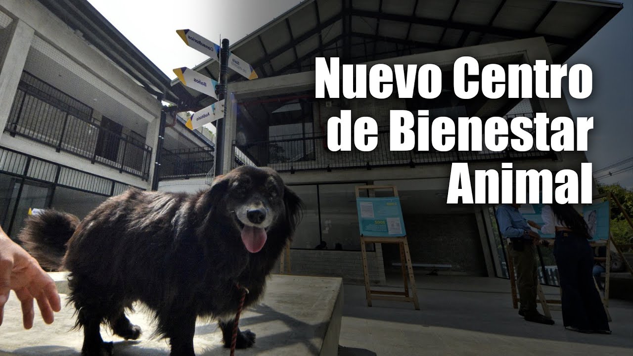 Así será el Centro de Bienestar Animal de Cali