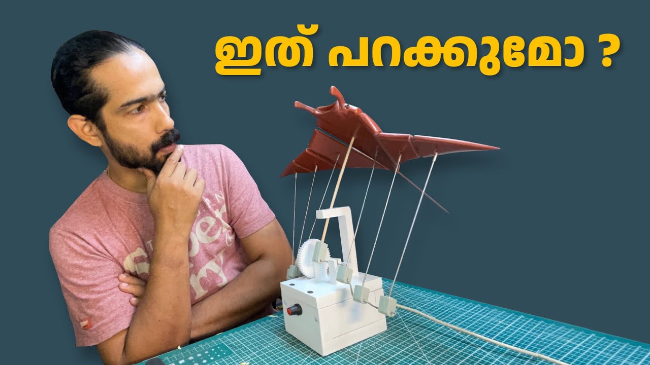 പറക്കുന്ന തിരണ്ടി 😍 flying stingray worming wood model DIY