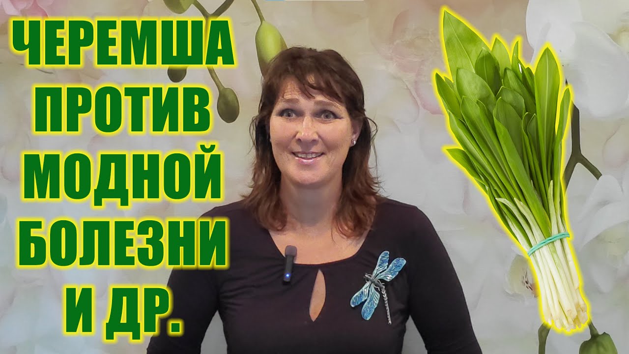 Черемша. Польза. Вкусно и полезно