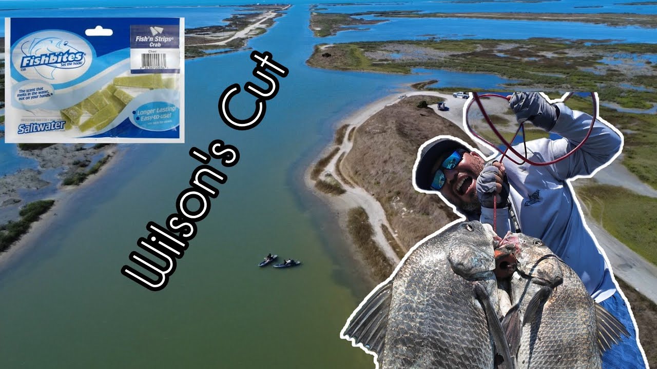 Bring Fish Bites #kayakfishingtips #fishbites 