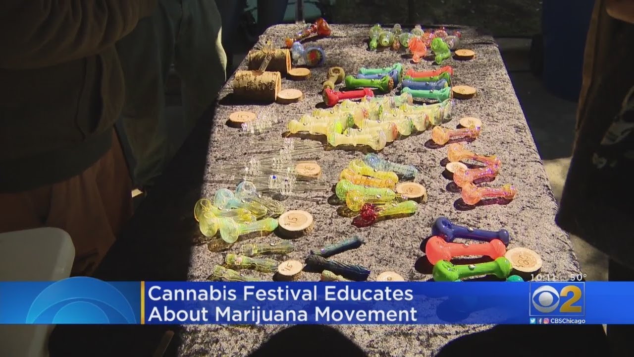 Cannabis Festival Educates About Marijuana Movement