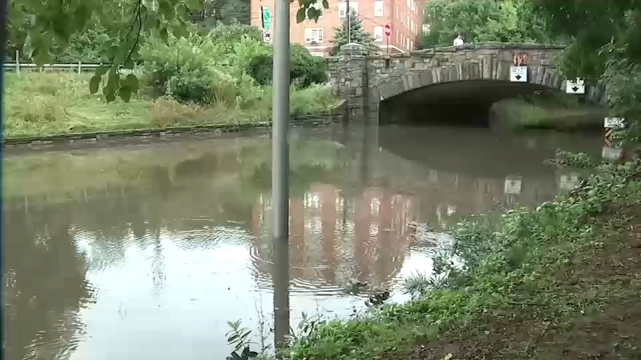 Наводнение на Bronx River Parkway: автомобили ушли под воду из-за сильных гроз