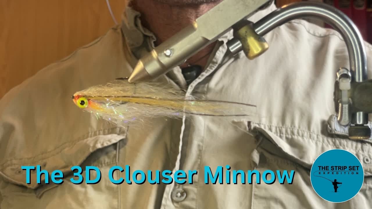 The 3D Clouser Minnow