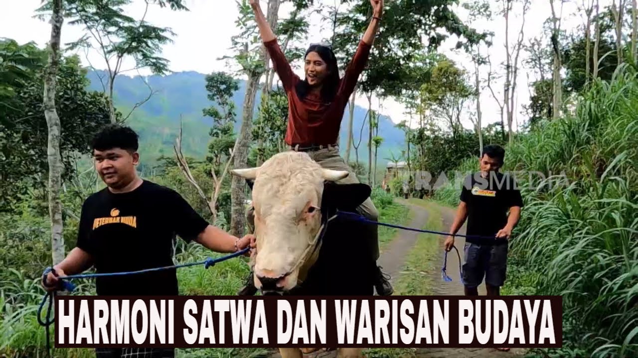 [FULL] HARMONI SATWA DAN WARISAN BUDAYA | JEJAK PETUALANG (27/07/24)