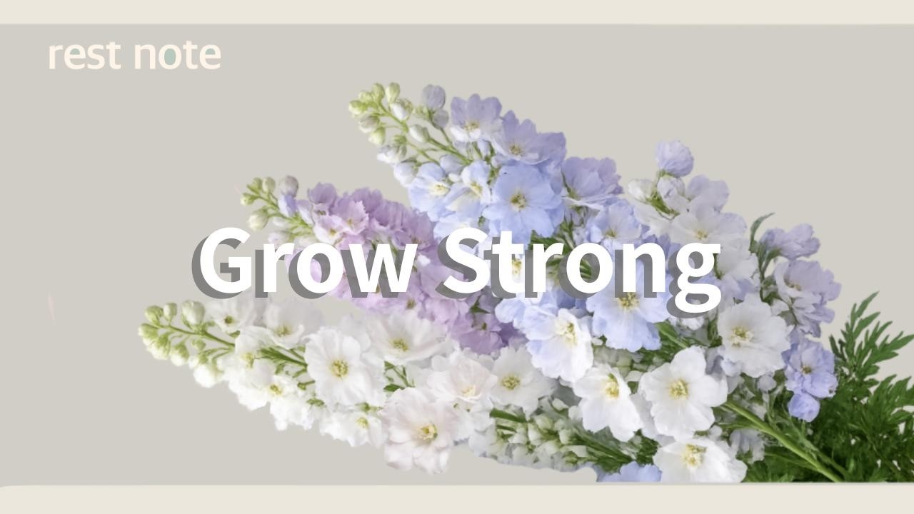 Grow Strong｜強く成長しよう｜Playlist Chill house