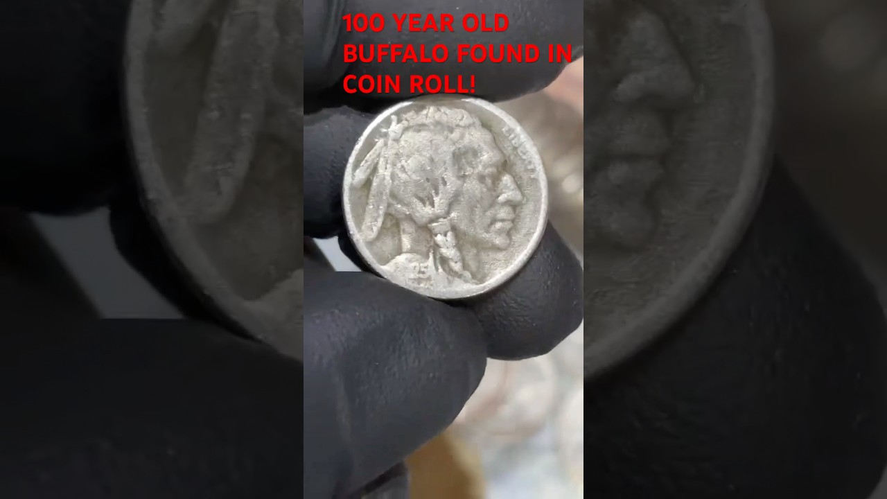100 YEAR OLD BUFFALO FOUND COIN HUNTING LIVE!