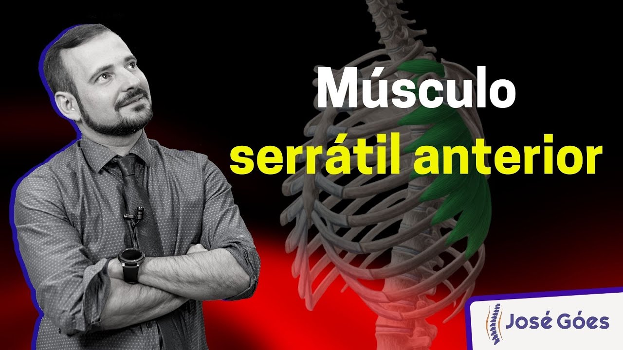 Músculo Serrátil Anterior | José Góes