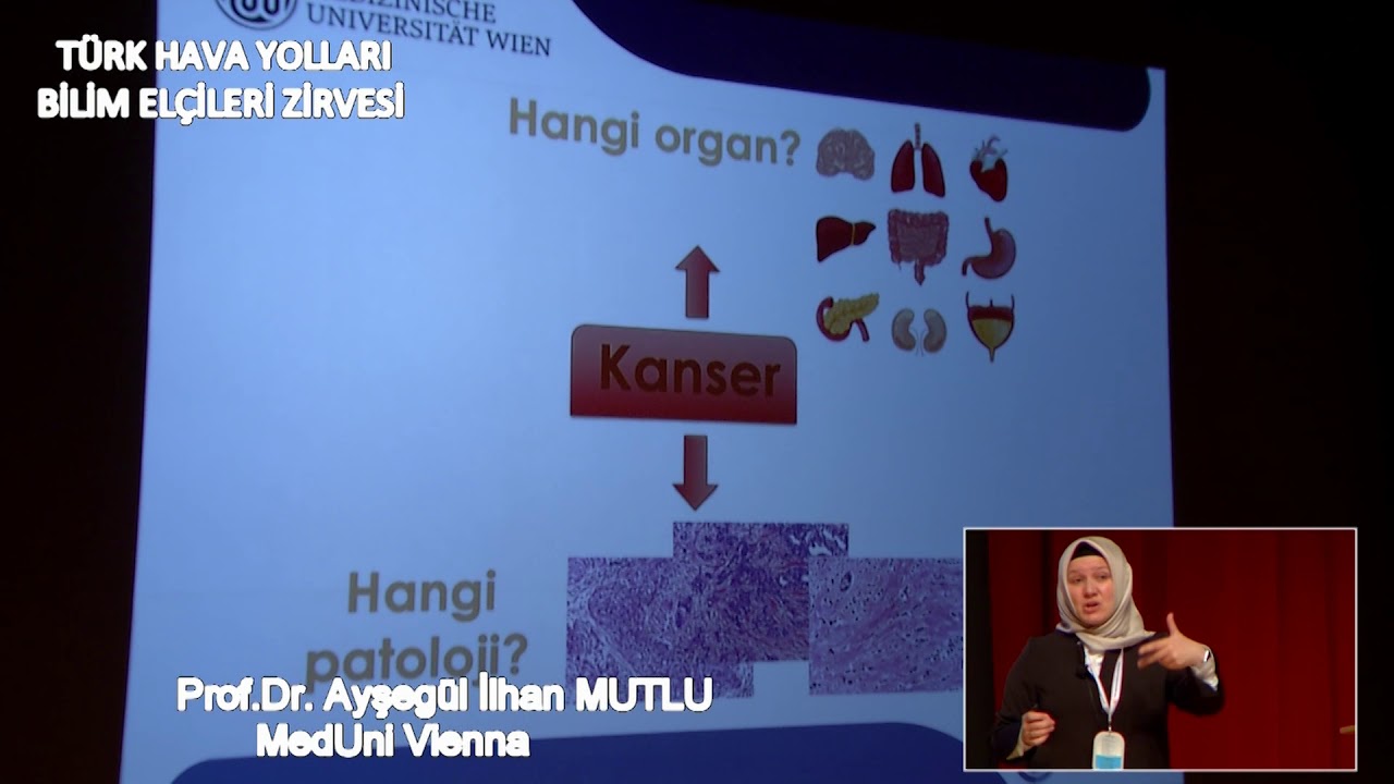 Prof. Dr. Ayşegül İlhan, MEDUNİ Vienna
