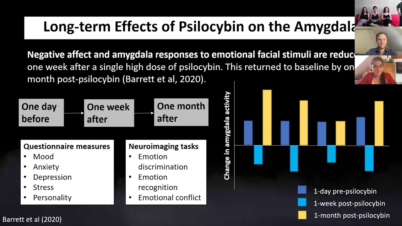 Psychedelics, Emotional Processing and the Importance of the Amygdala | Dasha Anderson, M.Sc.