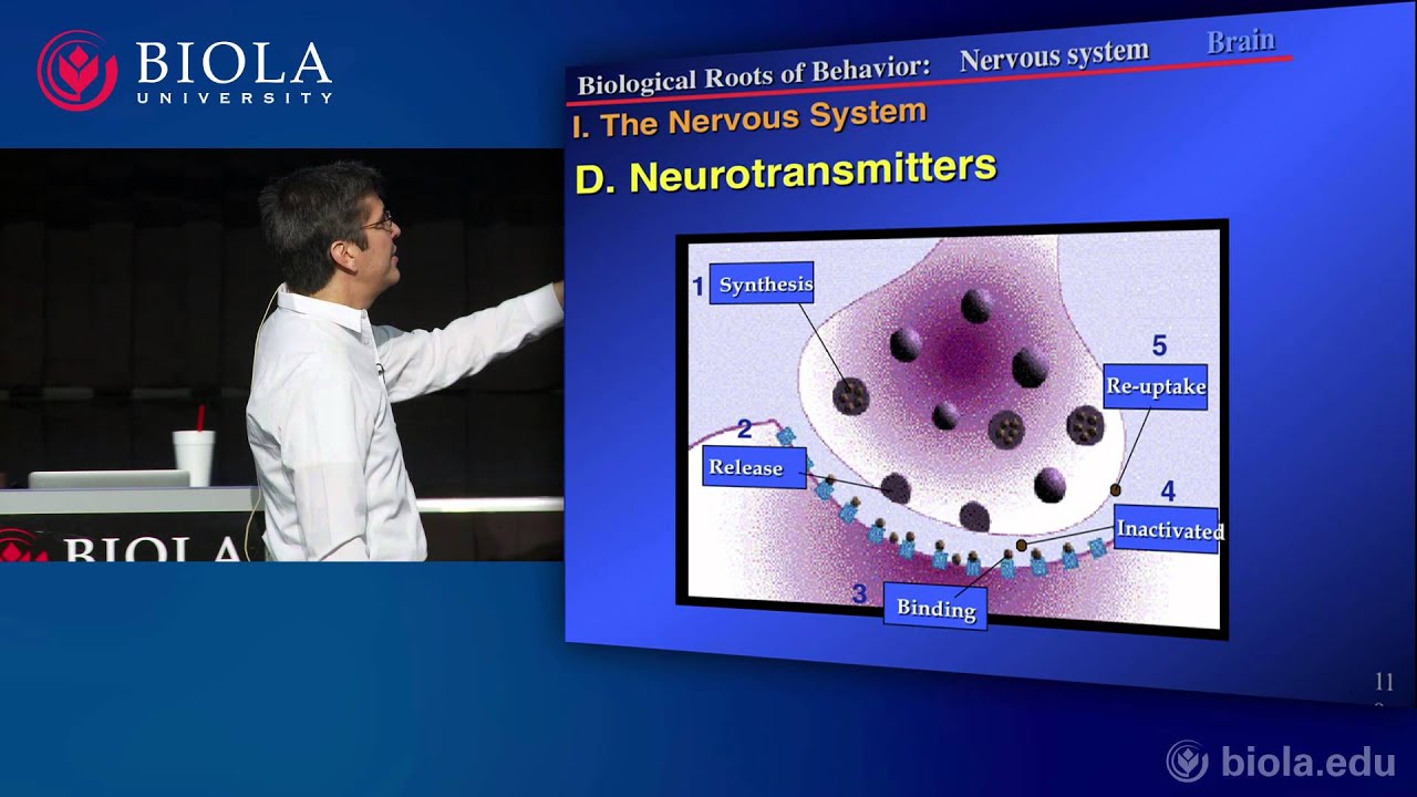 [PSYC200] 9. Neuroscience Part 3: Organization of the Brain
