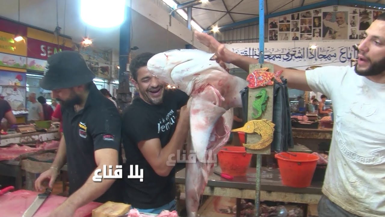 الحوت بسعر الجملة بالمنستير والسلعة فرشكة للزوالي من القرش للسردينة ومائة ألف تعبيلك فريجيدار بالحوت