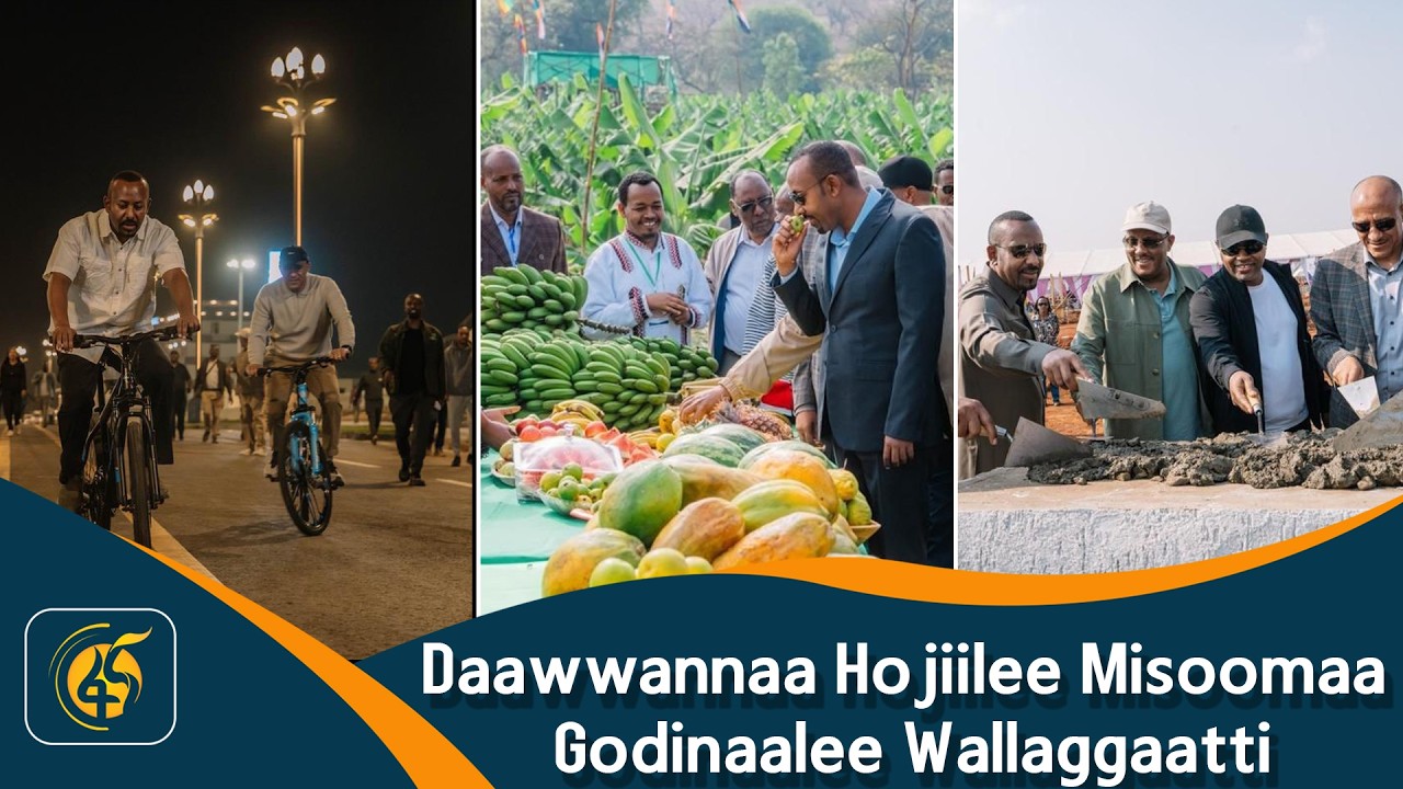 Daawwannaa Hojiilee Misoomaa Godinaalee Wallaggaatti